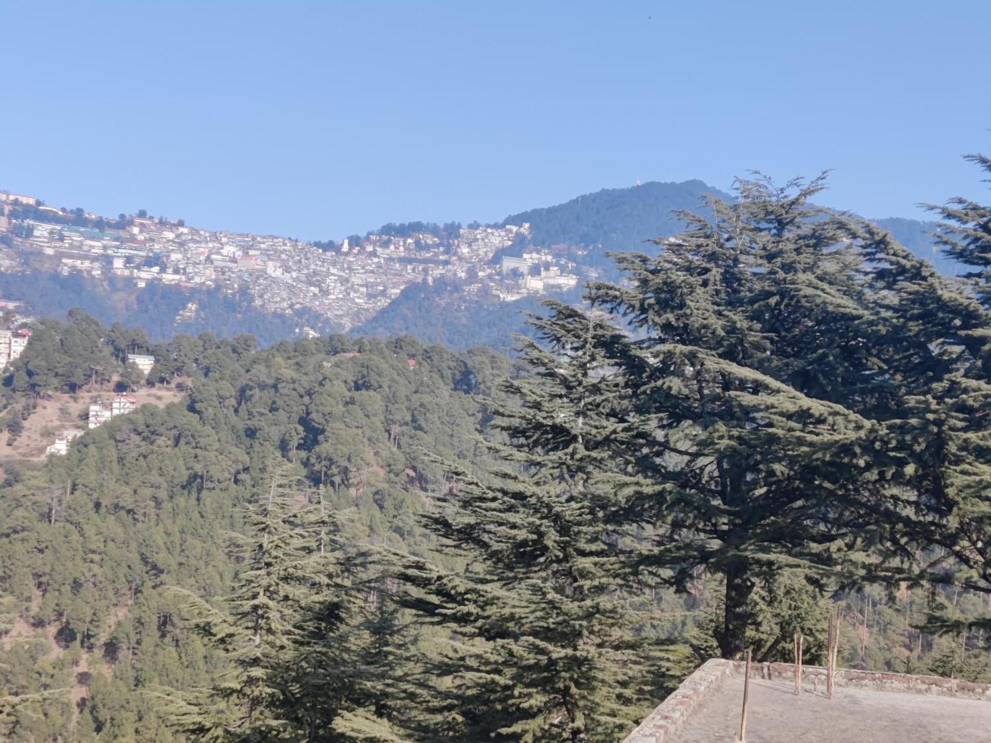Shimla Hills Apartments 2Bhk Номер фото